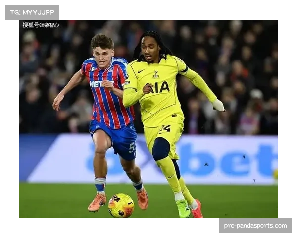 桑德兰36分表现稳定,升班马保级任务基本完成