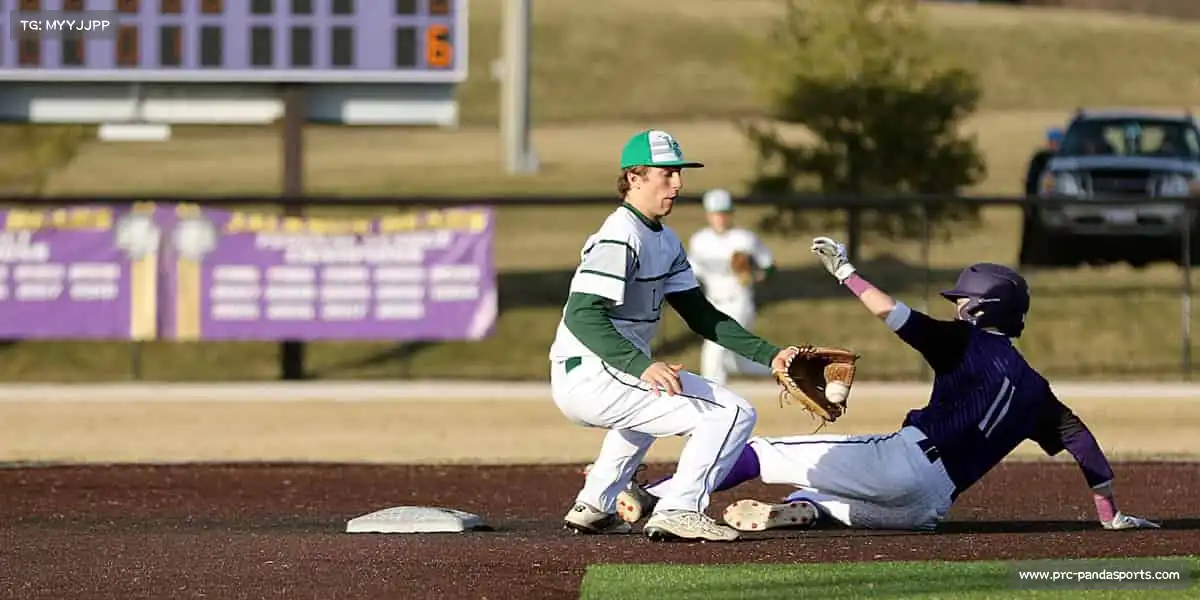 熊猫体育官网——🏊泳池破浪,速度称王!